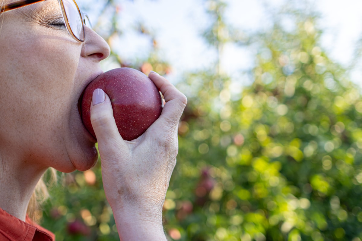 Fragole e frutti primaverili freschi